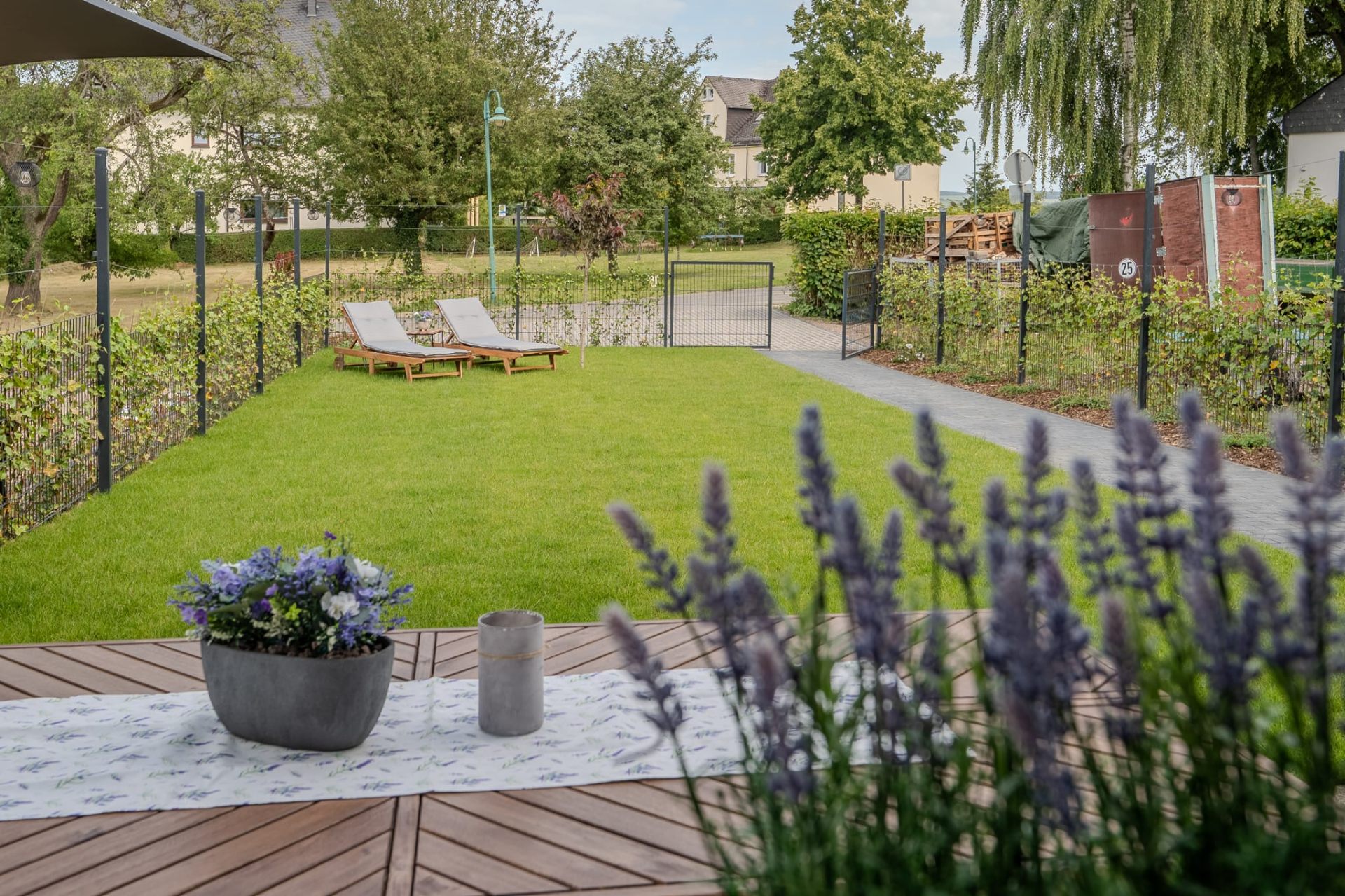 Blühender Lavendel im Garten