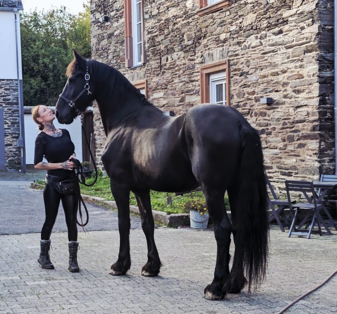 Vivien mit einem großen schwarzen Pferd auf dem Hof der Starkenburger Perle
